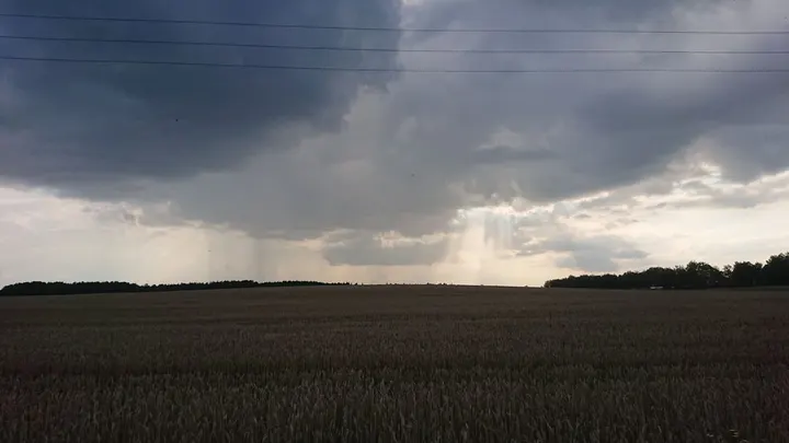 Saulės nutviesti laukai su debesimis